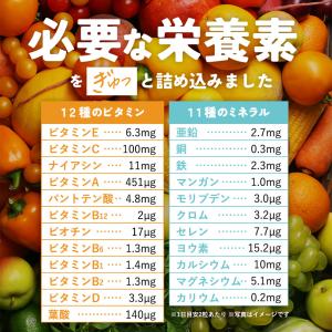 マルチビタミン & ミネラル (約3ヶ月分)ビ...の詳細画像4