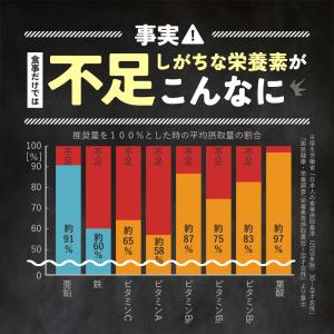 マルチビタミン ミネラル (約3ヶ月分)ビタミ...の詳細画像5