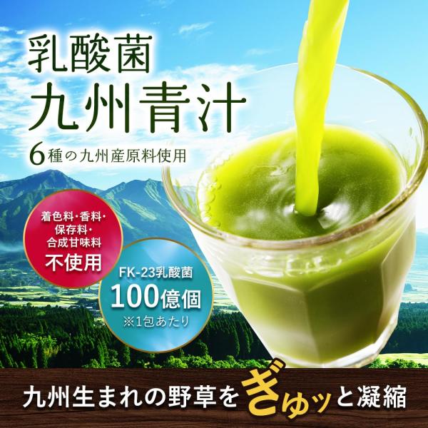 乳酸菌九州青汁（30包） 3個セット 国産 青汁 乳酸菌 個包装 美味しい 大麦若葉 ケール ゴーヤ...