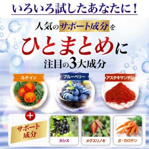 ブルーベリープレミアム (約1ヶ月分) サプリ...の詳細画像4