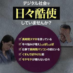 ブルーベリープレミアム (約1ヶ月分) サプリ...の詳細画像5