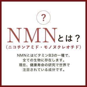 NMN 4500 (約3ヶ月分) 高純度 高品...の詳細画像5
