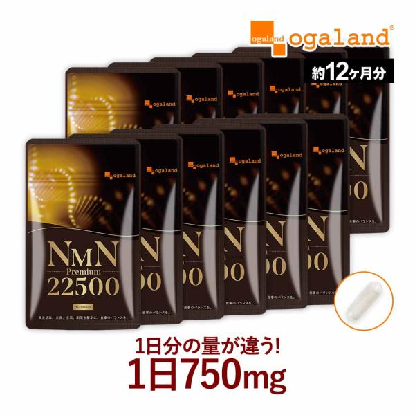 NMNプレミアム22500（約12ヶ月分）サプリ 日本製 3粒で750mg 女性に人気 サプリメント...