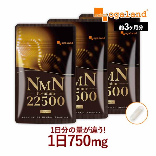 NMNプレミアム22500（約3ヶ月分）サプリ 日本製 3粒で750mg 女性に人気 サプリメント ...