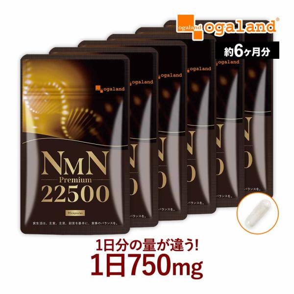 NMNプレミアム22500（約6ヶ月分）サプリ 日本製 3粒で750mg 女性に人気 サプリメント ...
