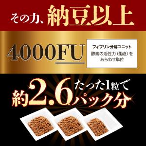 ナットウキナーゼ プレミアム 4000FU (...の詳細画像4