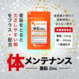 亜鉛 サプリ (約3ヶ月分) 銅 サプリメント...の詳細画像3