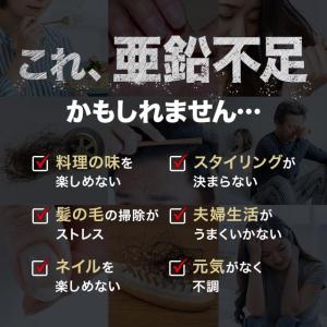 亜鉛 サプリ (約3ヶ月分) 銅 サプリメント...の詳細画像4