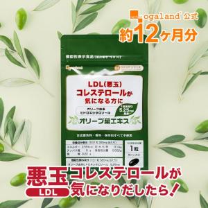 オリーブ葉エキス （約12ヶ月分） 健康 生活習慣 数値 サプリ サプリメント 悪玉 コレステロール が気になりだしたら LDL オリーブ