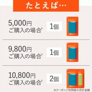 選べる5円 サプリ たっぷり約1ヶ月分 選べる...の詳細画像2