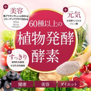 酵素ドリンク プラセンタ plus+(80g)...の詳細画像4