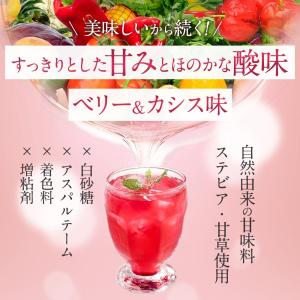 酵素ドリンク プラセンタ plus+(80g)...の詳細画像5