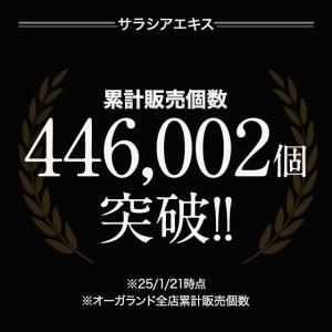 サラシアエキス 約3ヶ月分 ダイエットサプリ ...の詳細画像1