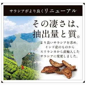 サラシアエキス 約3ヶ月分 ダイエットサプリ ...の詳細画像4