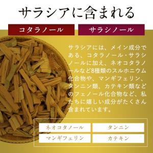サラシアエキス(約1ヶ月分)サプリメント ダイ...の詳細画像4