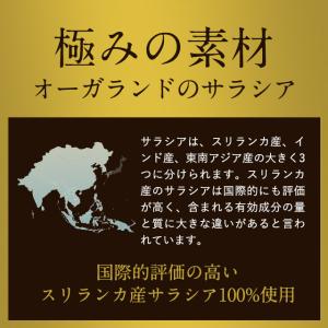 サラシアエキス(約1ヶ月分)サプリメント ダイ...の詳細画像5