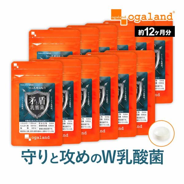 矛と盾乳酸菌（約12ヶ月分）善玉乳酸菌 シールド乳酸菌 レジスト乳酸菌 オリゴ糖 ビタミン 水溶性 ...