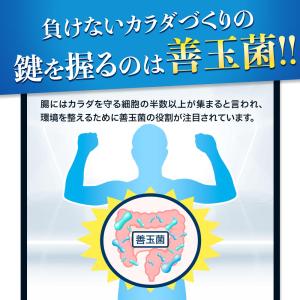 乳酸菌 サプリメント 矛と盾乳酸菌(約3ヶ月分...の詳細画像5