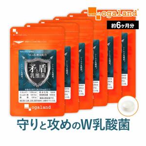 矛と盾乳酸菌（約6ヶ月分）善玉乳酸菌 にゅうさんきん オリゴ糖 ビタミン 水溶性 食物繊維 健康 美容 ダイエット サプリメント さぷり｜oga