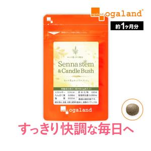 オモイコメンディー OMOi KO MANDY 45g ( 3g × 15包 ) サプリメント