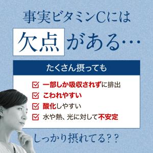SIX VITAMIN C(3個セット・約3ヶ...の詳細画像3