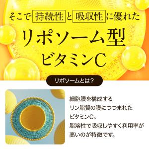 SIX VITAMIN C(3個セット・約3ヶ...の詳細画像4