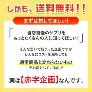 【初回限定】 オーガランド で初めてお買い物を...の詳細画像2