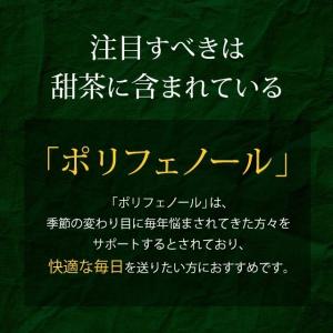 甜茶と邪払 (約6ヶ月分)サプリメント ポリフ...の詳細画像4