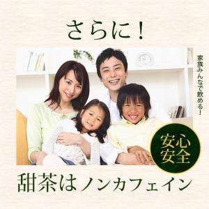 甜茶と邪払 (約6ヶ月分)サプリメント ポリフ...の詳細画像5