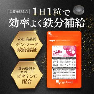 ヘム鉄&ビタミン(約1ヶ月分)鉄分サプリ サプ...の詳細画像1