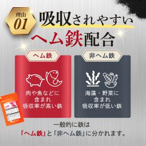 ヘム鉄&ビタミン(約1ヶ月分)鉄分サプリ サプ...の詳細画像5