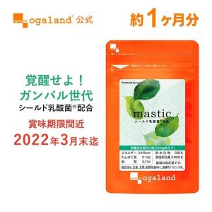 賞味期限最短2022年3月末まで 訳ありバーゲン マスティック mastic 乳酸菌 ビタミンE サプリ サプリメント 約1ヶ月分_倉庫