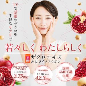 ザクロエキス & 大豆イソフラボン (約3ヶ月...の詳細画像1