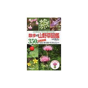 散歩の山野草図鑑 この花なに がひと目でわかる ３５０種探しやすい花色 果実別の写真もくじ付き 山田 隆彦 著 神戸 大垣書店オンライン 通販 Yahoo ショッピング