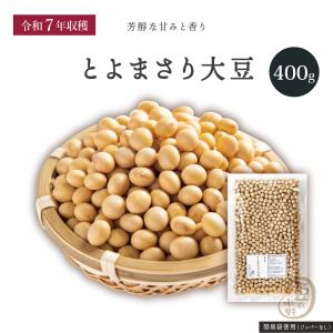 お値打ち 大豆 850グラム 令和7年収穫 北海道産 【送料無料】とよ