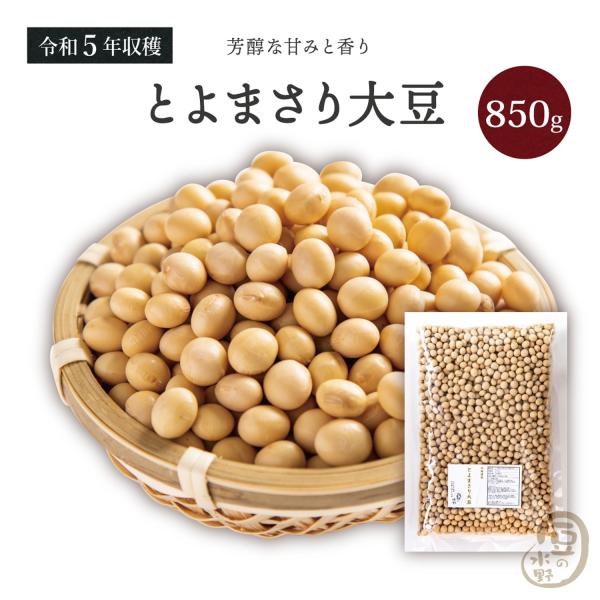 大粒とよまさり大豆2.8上 850グラム 令和5年収穫 北海道産 【送料無料】