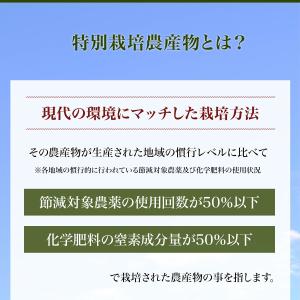 特別栽培大豆 400グラム 令和7年収穫 北海...の詳細画像4
