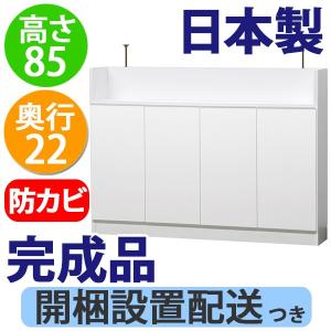 薄型 カウンター下収納 扉タイプ幅120