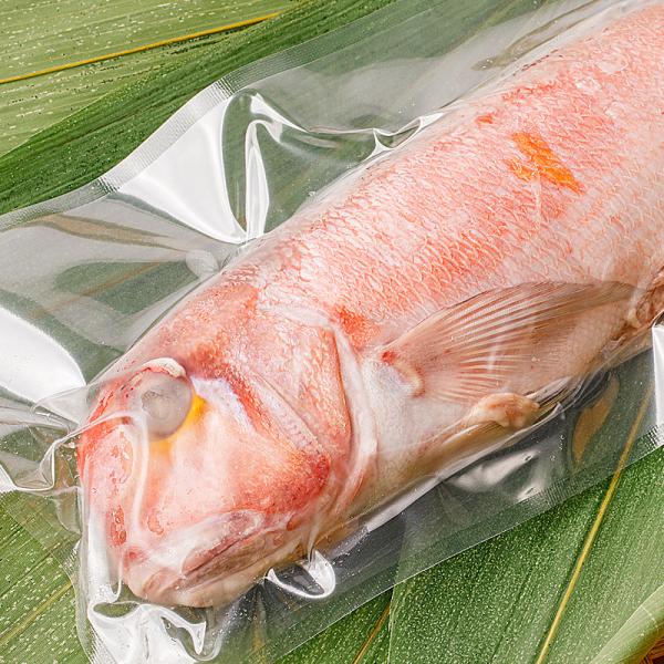 男鹿冷凍 【CAS凍結】赤甘鯛(アマダイ) セミドレス 10kg(300/400)【業務用】