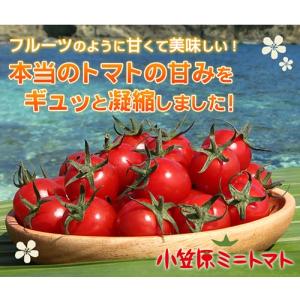 小笠原ミニトマト　850g