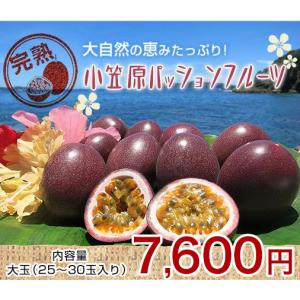 小笠原パッションフルーツ　大玉（25〜30玉入り）