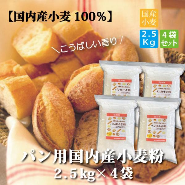 パン用 小麦粉 強力粉 国内産小麦粉 2.5kg×4袋 計10kg