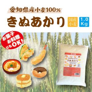 小麦粉 薄力粉 愛知県産 きぬあかり 1kg