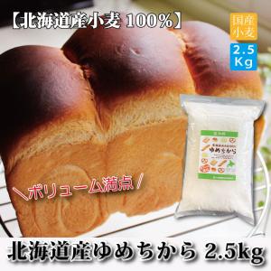 パン用 小麦粉 強力粉 北海道産 ゆめちから 2.5kg