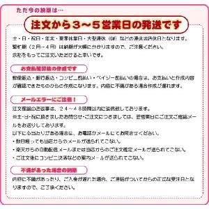 お名前スタンプ キューティースタンプ 12点セ...の詳細画像4