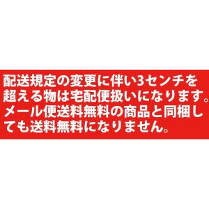 お名前スタンプ お名前はんこ クリーナー 修正...の詳細画像1