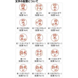 シャチハタ 印鑑ディズニープチネーム シヤチハ...の詳細画像3