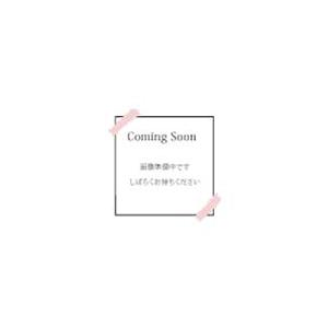 9月より発送開始】アートプリントジャパン カレンダー 2027 チワワ川柳