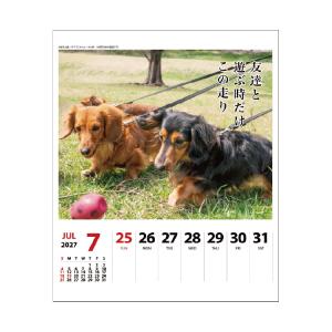 【9月より発送開始】アートプリントジャパン カ...の詳細画像4