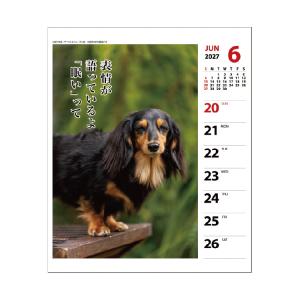 【9月より発送開始】アートプリントジャパン カ...の詳細画像5